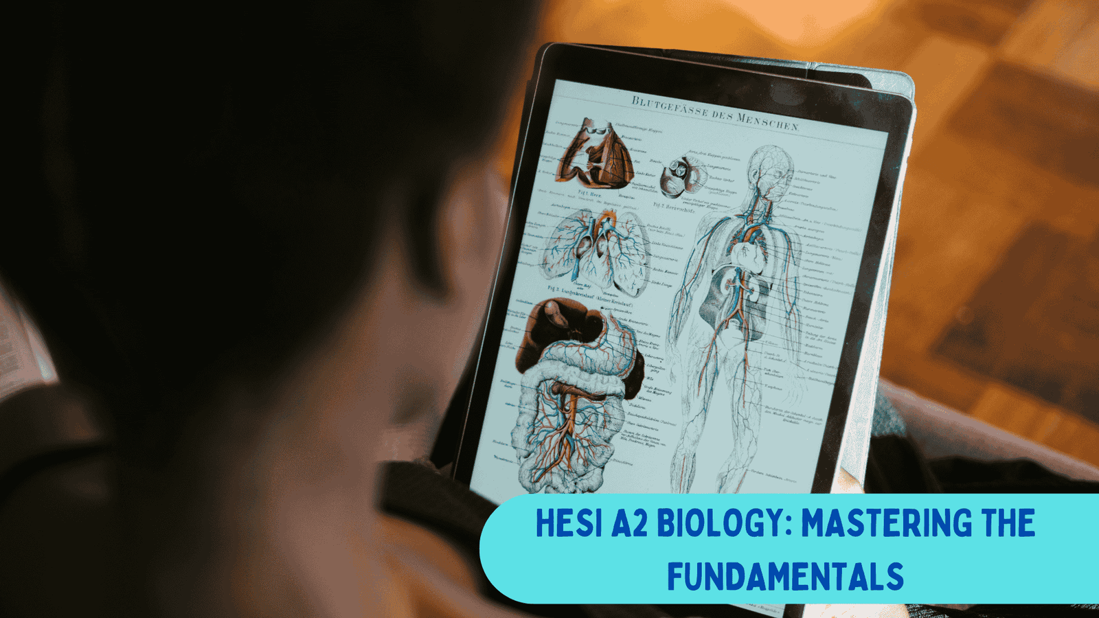 HESI A2 Biology: Mastering the Fundamentals